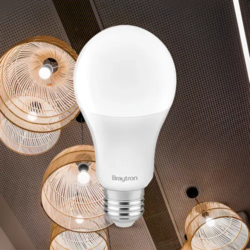 Braytron LED Sijalica A65 16W E27 6500K BA13-01623