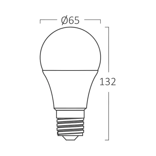 Braytron LED Sijalica A65 16W E27 6500K BA13-01623