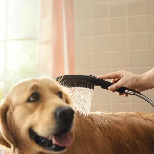 Hansgrohe tuš ručica Dogshower Select 150 3JET matt Black 26640670