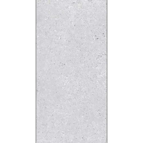 Arena Terazzo Grigio 60x120 RECT 10mm R10