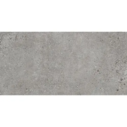 AB PROMENADE GRIS 60x120 podna mat RT