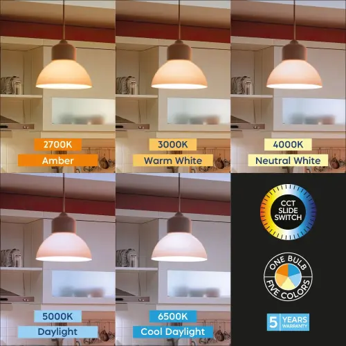 Braytron 5U1 LED Sijalica A60 8.5W E27 CCT BA13-00880