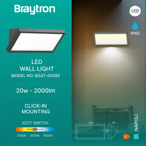 Braytron LED Zidna Svetiljka Okrugla 20W Sivi CCT IP65 BG37-00582