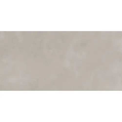ARES LIGHT GREY  29.8X59.8 8mm R10b