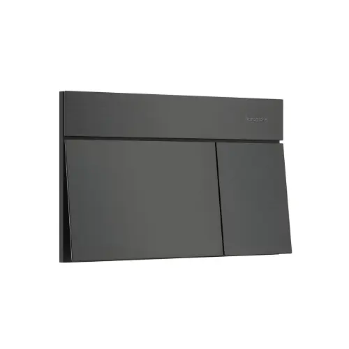 Hansgrohe iFrame tipka Element E 66003340
