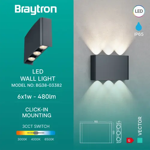 Braytron LED Zidna Svetiljka 6X1W Sivi CCT IP65 BG38-03382