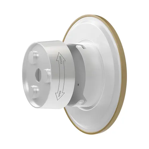 Braytron LED Zidna Svetiljka Okrugla 12W Zlatni CCT IP65 BG37-00286