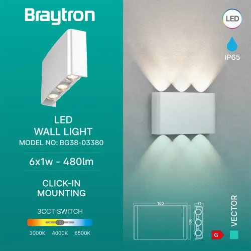 Braytron LED Zidna Svetiljka 6X1W Beli CCT IP65 BG38-03380