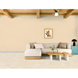 Arcides/Arena Bone 300x600 rett. akl. 1,62