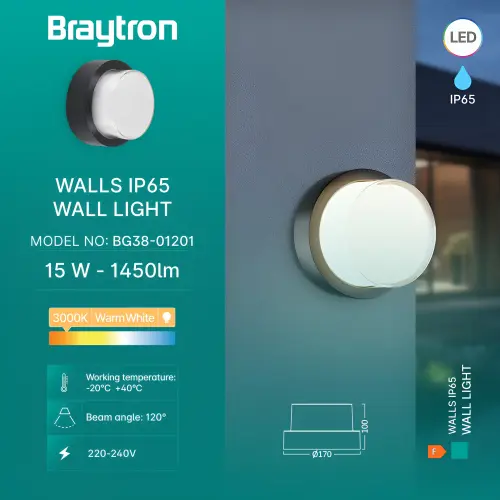 Braytron LED Zidna Svetiljka Okrugla 15W Crni 3000K IP65 BG38-01201