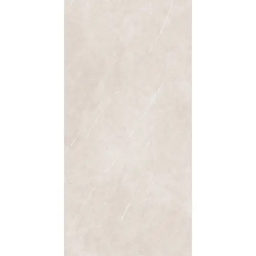Arena Elegant Taupe 60x120 RECT 10mm