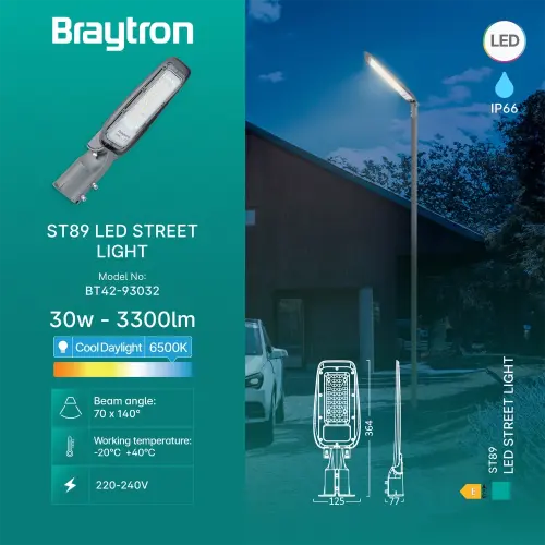 Braytron LED Ulična Svetiljka 30W Siva 6500K IP66 BT42-93032
