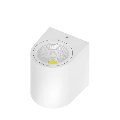 Braytron LED Zidna Svetiljka 5W Beli 3000K IP44 BG40-00100