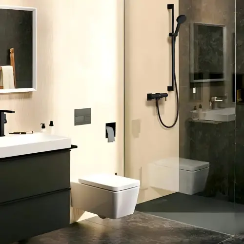 Hansgrohe tuš crevo 1.6M ISIFLEX MAT CRNO 28276670