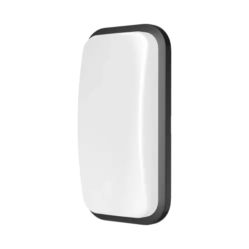 Braytron LED Zidna Svetiljka Elipsa 15W Crni 3000K IP65 BG38-00302