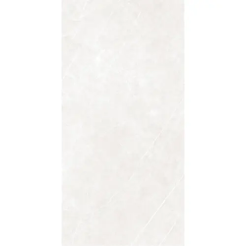 Arena Elegant Ivory 60x120 RECT 10mm