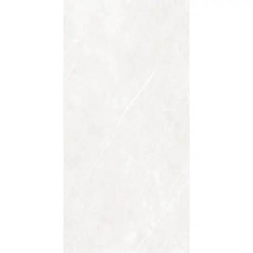 Arena Elegant Ivory 60x120 RECT 10mm
