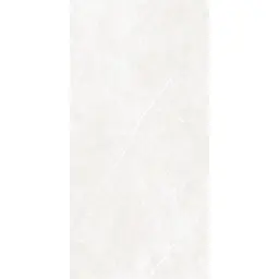 Arena Elegant Ivory 60x120 RECT 10mm