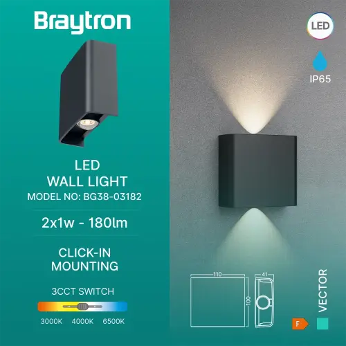 Braytron LED Zidna Svetiljka 2X1W Sivi CCT IP65 BG38-03182