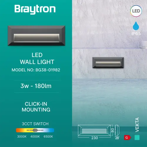 Braytron LED Zidna Svetiljka Pravougaona 3W Sivi CCT IP65 BG38-01982