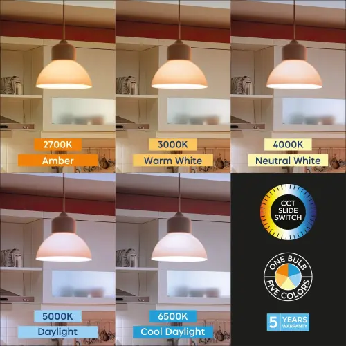 Braytron 5U1 LED Sijalica A65 13.5W E27 CCT BA13-01380