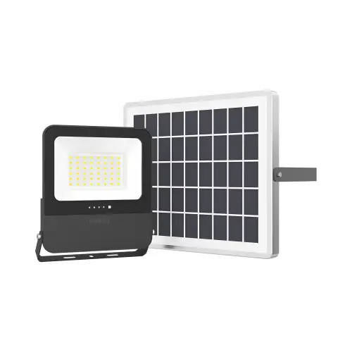 Braytron Solarni LED Reflektor 15W CCT Daljinski IP65 BT64-10681