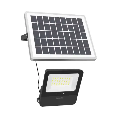 Braytron Solarni LED Reflektor 15W CCT Daljinski IP65 BT64-10681