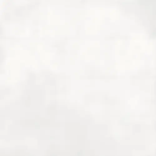BONN Blanco 60.8X60.8 M35