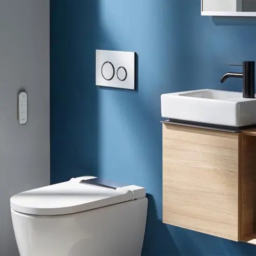Geberit Sigma50 Round tipka za dvokoličinsko ispiranje bela/crni hrom/bela - staklo 115.651.SI.1