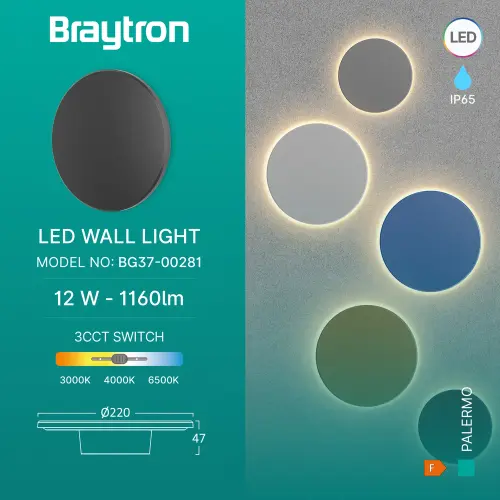 Braytron LED Zidna Svetiljka Okrugla 12W Crni CCT IP65 BG37-00281