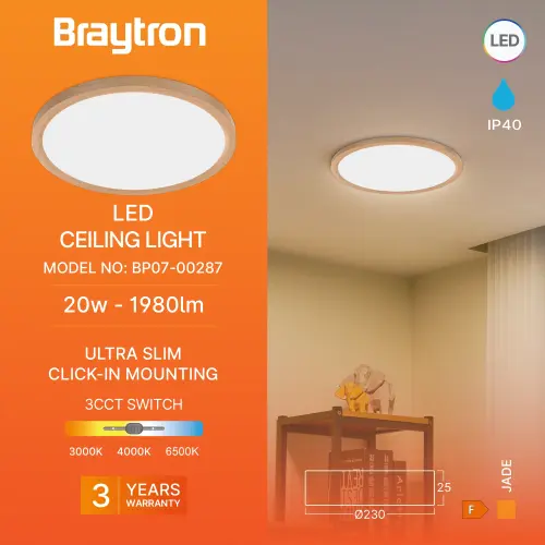 Braytron LED Plafonjera Okrugli 20W Drvo CCT BP07-00287