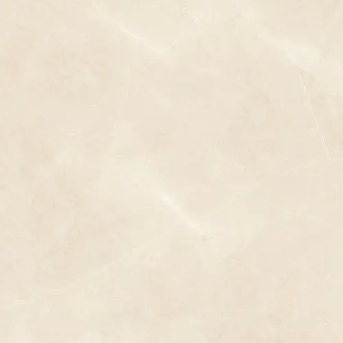 Zorka Elegant Beige 60x60 9mm R9