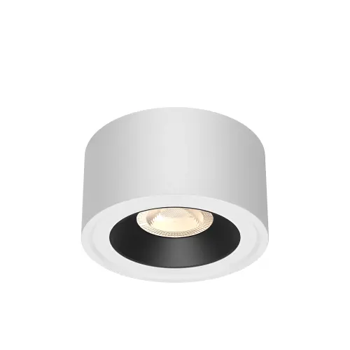 Braytron Nadgradni Spot Okrugli Jednostruki 10W Beli/Crni CCT BH04-00040