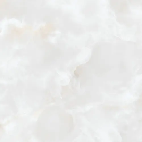 Zorka Onyx Ivory 60x60 9mm R9