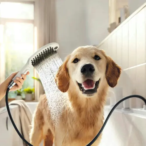 Hansgrohe tuš ručica Dogshower Select 150 3JET White 26640700