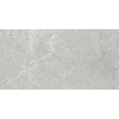 AB KINGSTONE Ash 60x120 podna mat RT