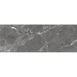 ARIANA Graphite 25X70 M31