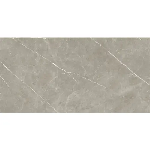 Baldocer Eternal Taupe 60x120 Mat