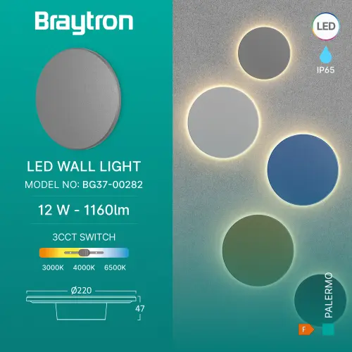 Braytron LED Zidna Svetiljka Okrugla 12W Sivi CCT IP65 BG37-00282