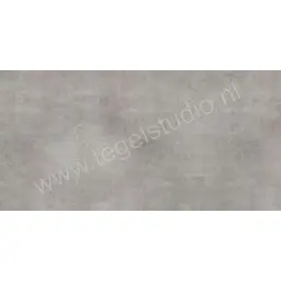 Marazzi Memento Silver 30X60 M0EC