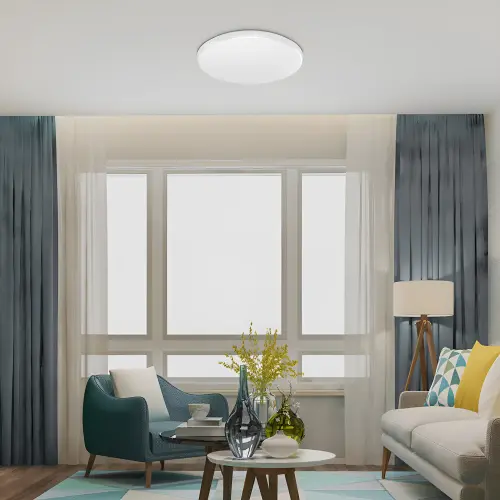 Braytron LED Plafonjera Okrugla 36W CCT BH16-32380