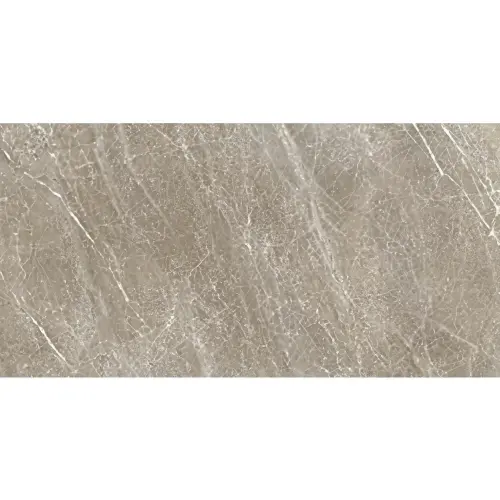 Mariner Star GREIGE 30x60 RETT R9 ST30GGR