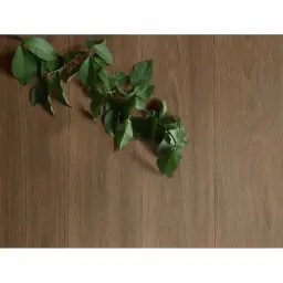 Marazzi Alma Marrone 20X120 MFDF
