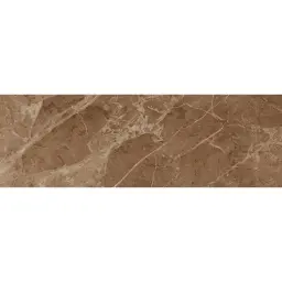 RENOIR MARRON 20X60 M19