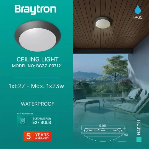 Braytron Plafonska Svetiljka Sivi IP65 BG37-00712