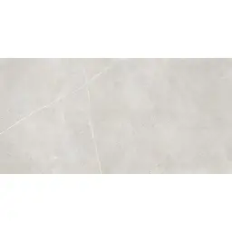AB Icaria Silver 60x120 podna mat RT