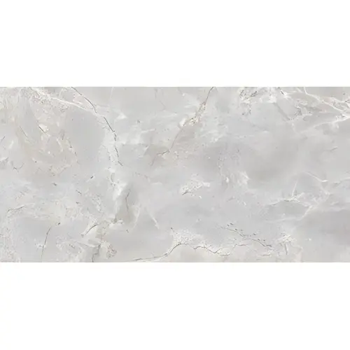 Walter Light Grey glossy 300x600 Akl. 1,62